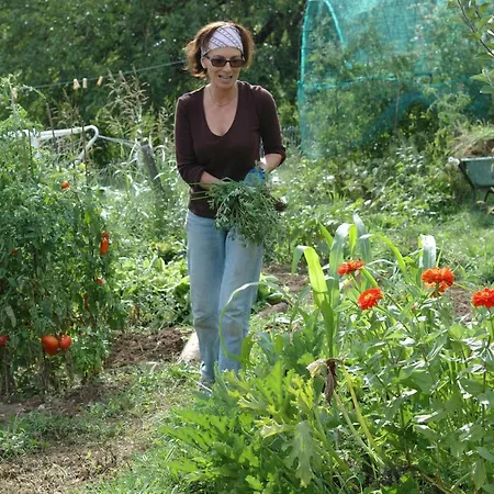 Ca Borgh Farm stay Santa Maria di Feletto