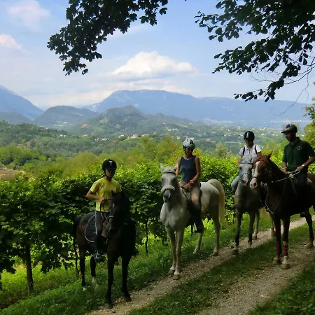 Farm stay Ca Borgh Santa Maria di Feletto